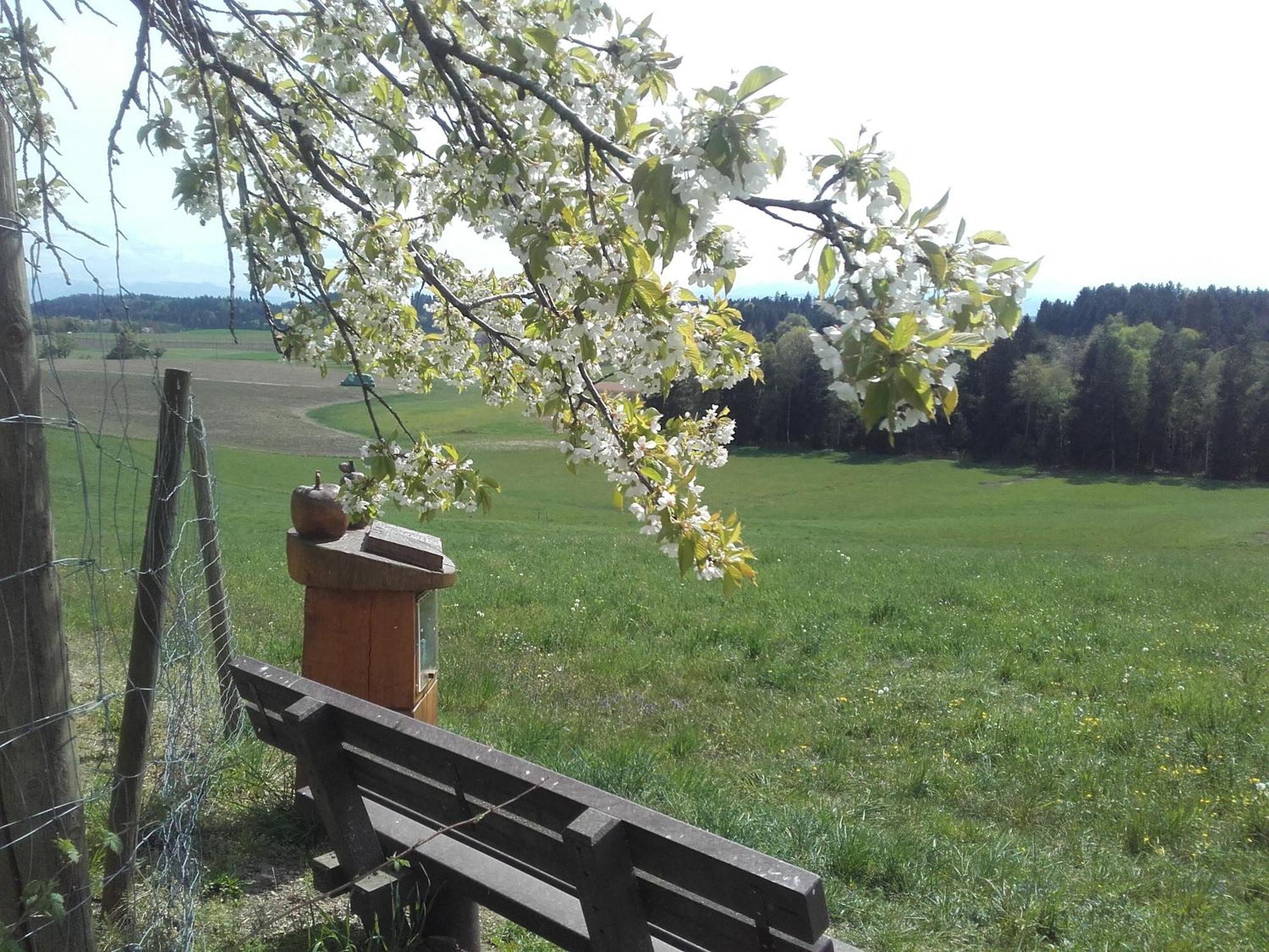 Ferienhof Metzler Bodnegg Экстерьер фото